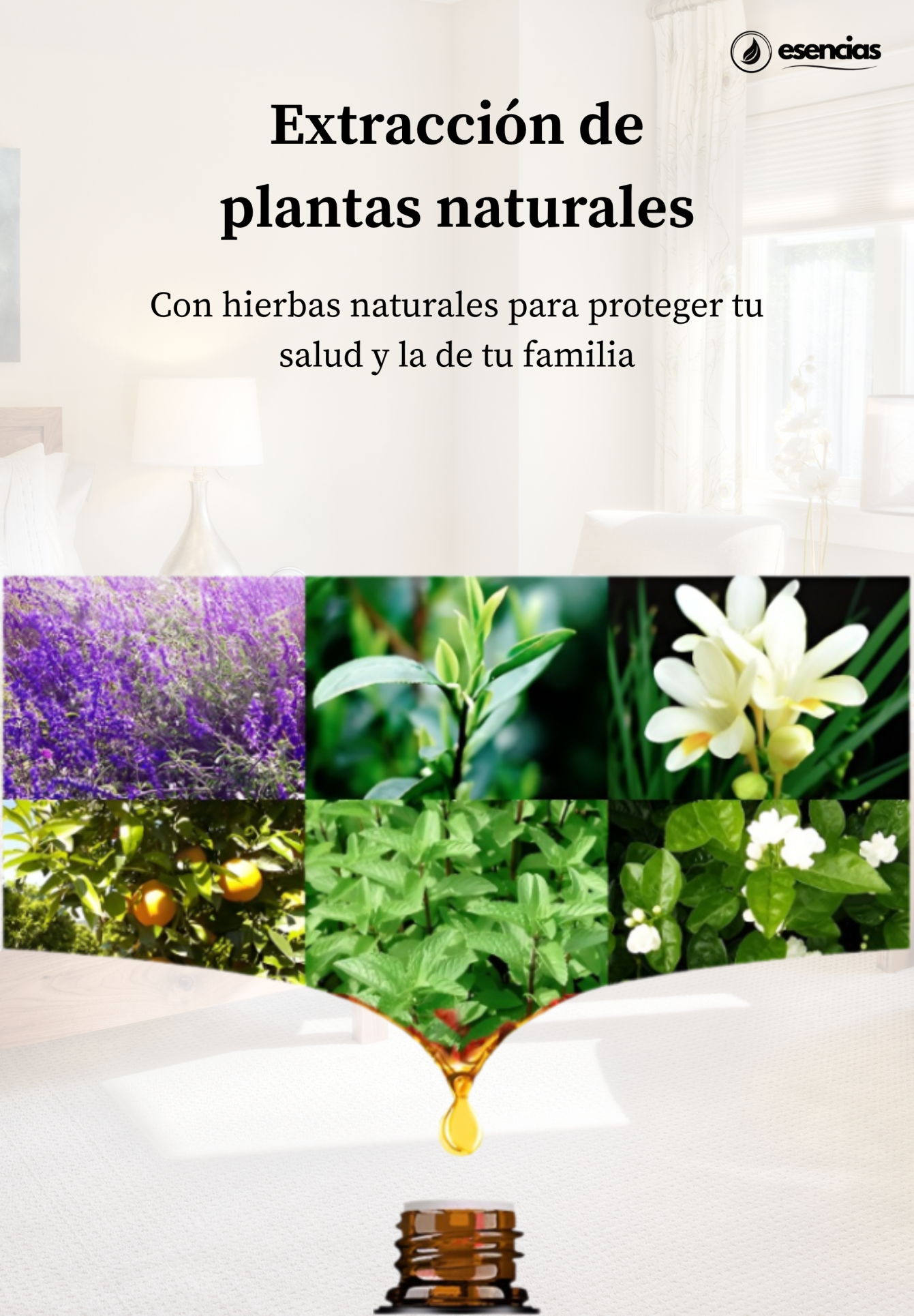 18 Aromas para humidificador hogar
